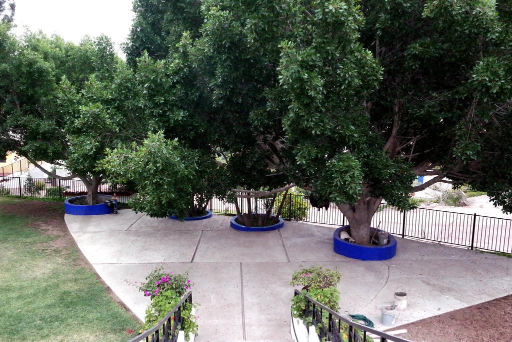 Quinta Los Arrayanes Hotel เอนเซนาดา ภายนอก รูปภาพ
